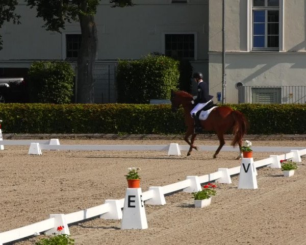Reitturnier Neustadt/Dosse 2021