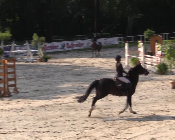 Reitturnier Prussendorf 2021
