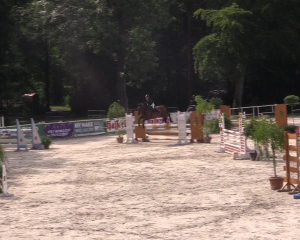 Reitturnier Prussendorf 2021