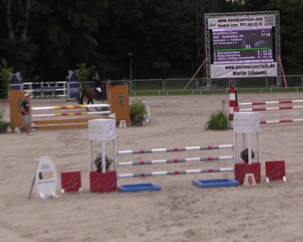 Reitturnier Prussendorf 2021