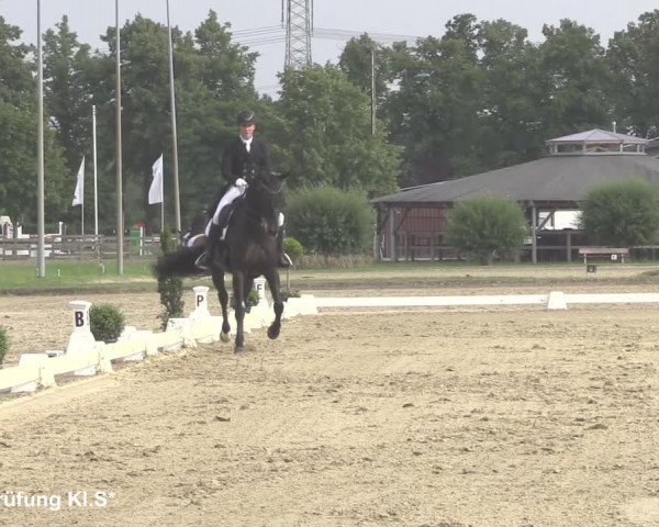 Reitturnier Münster-Roxel 2021