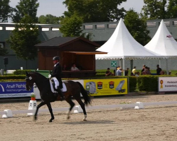 Reitturnier Neustadt/Dosse 2021