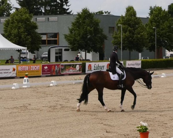 Reitturnier Neustadt/Dosse 2021