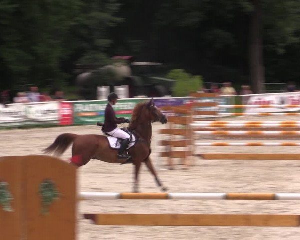 Reitturnier Prussendorf 2021