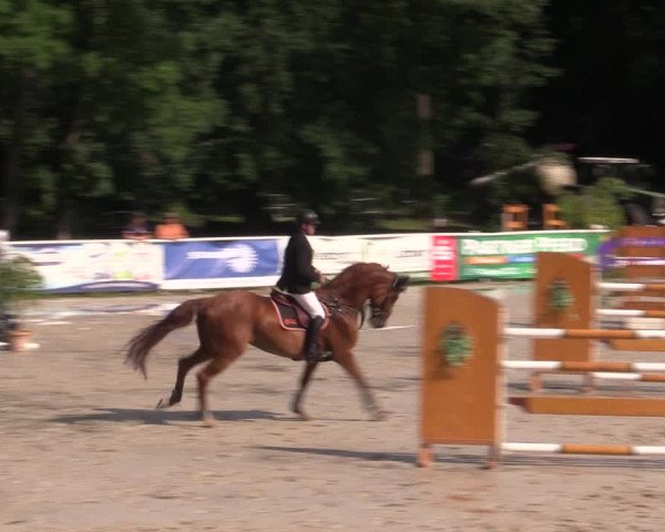 Reitturnier Prussendorf 2021