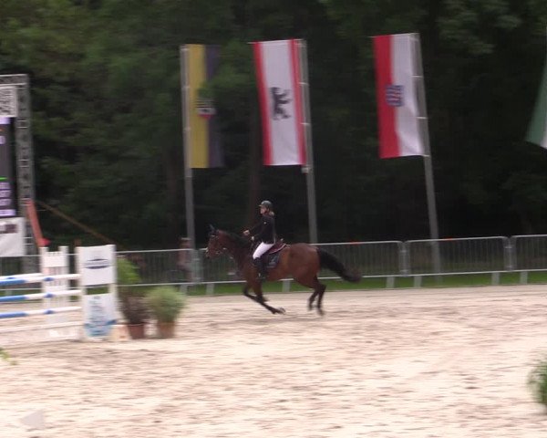 Reitturnier Prussendorf 2021