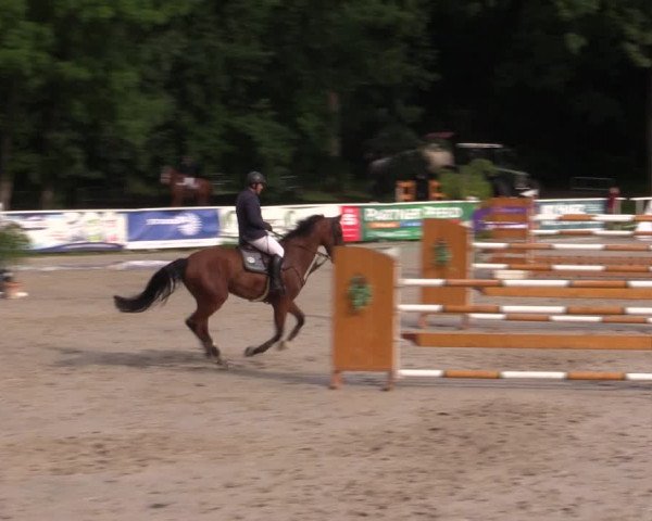 Reitturnier Prussendorf 2021