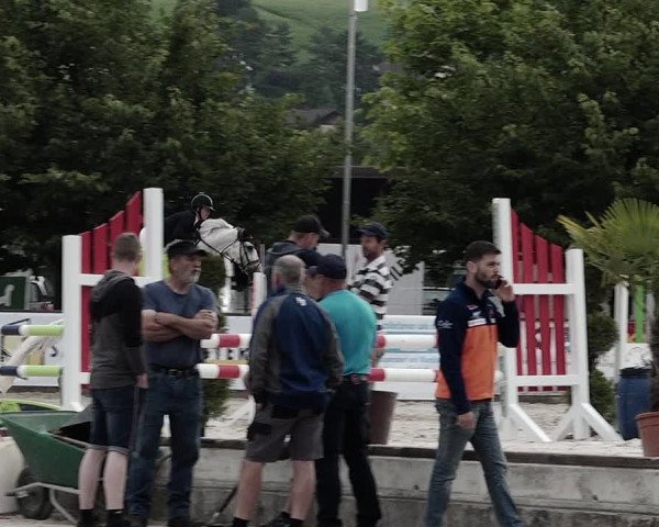 Reitturnier Balsthal 2021