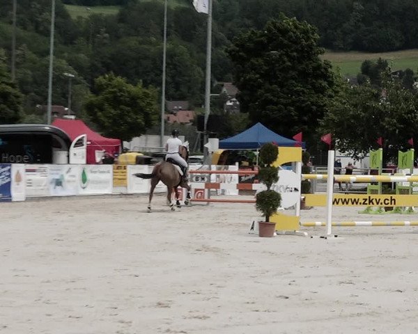 Reitturnier Balsthal 2021