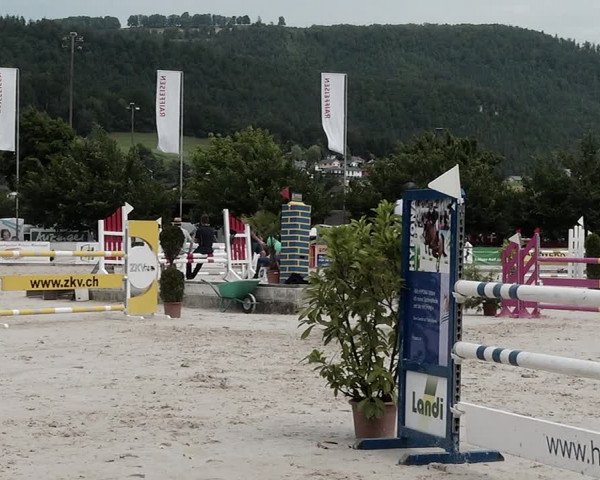 Reitturnier Balsthal 2021