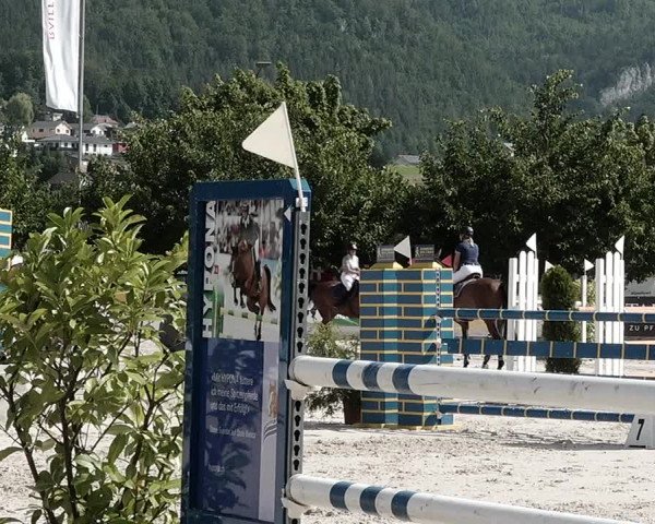 Reitturnier Balsthal 2021
