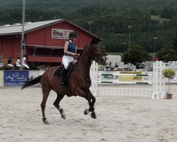 Reitturnier Balsthal 2021
