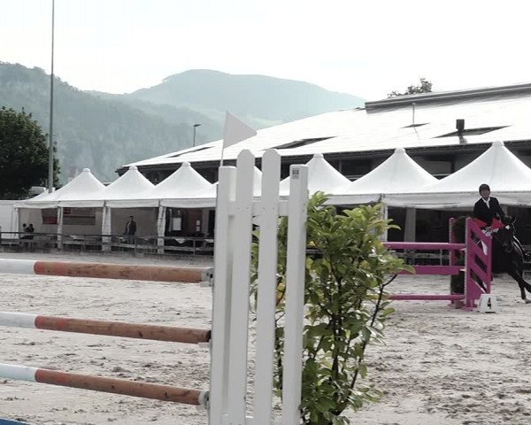 Reitturnier Balsthal 2021
