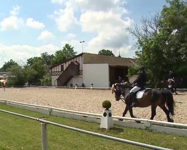 Reitturnier Hof-Haidt 2021