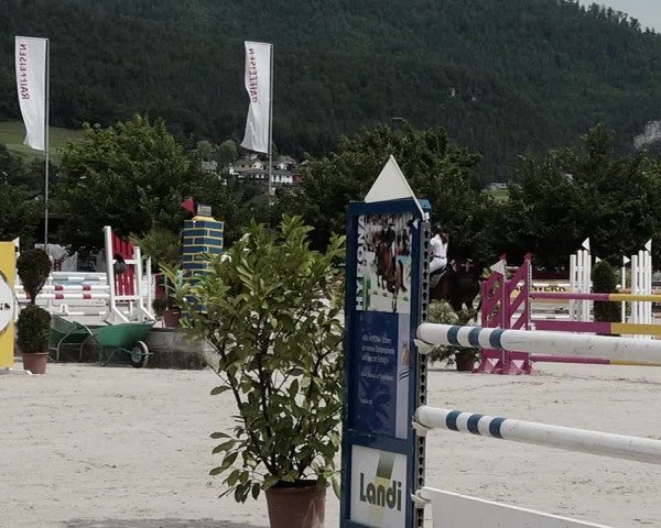 Reitturnier Balsthal 2021