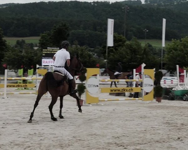 Reitturnier Balsthal 2021