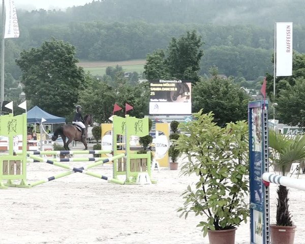 Reitturnier Balsthal 2021