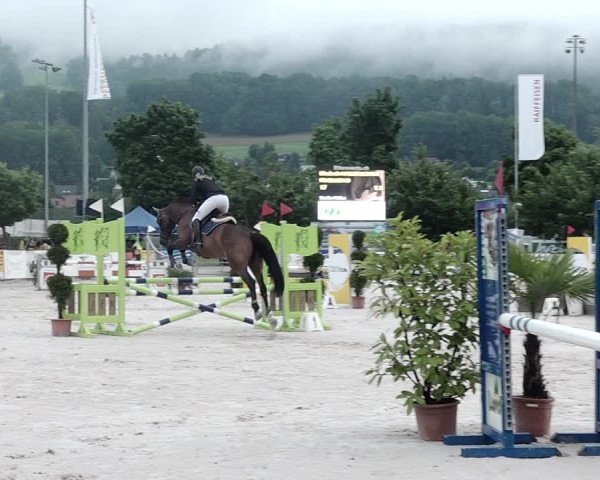 Reitturnier Balsthal 2021