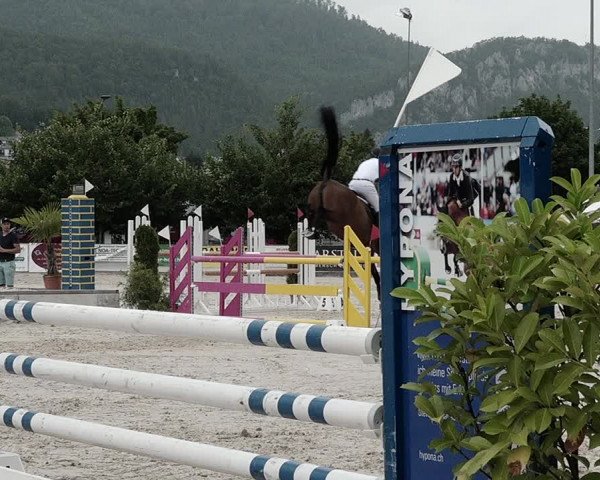 Reitturnier Balsthal 2021
