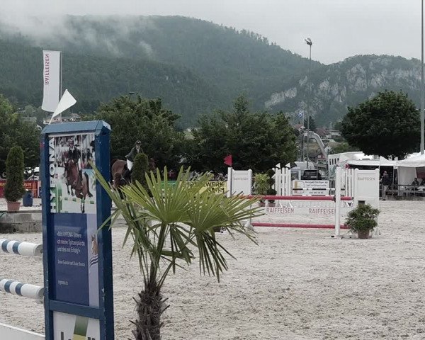 Reitturnier Balsthal 2021