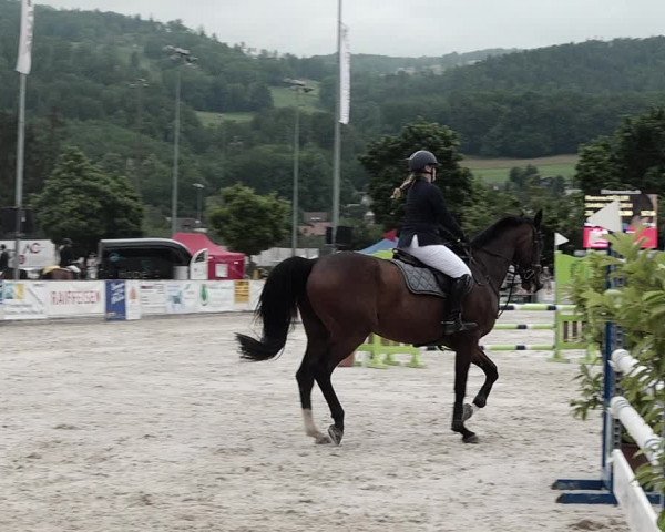 Reitturnier Balsthal 2021