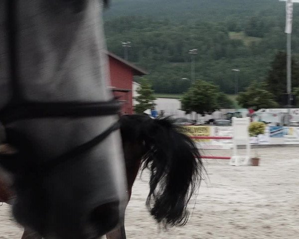 Reitturnier Balsthal 2021