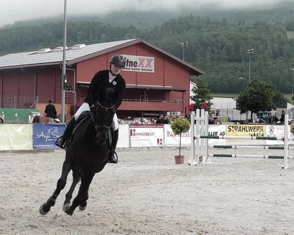 Reitturnier Balsthal 2021