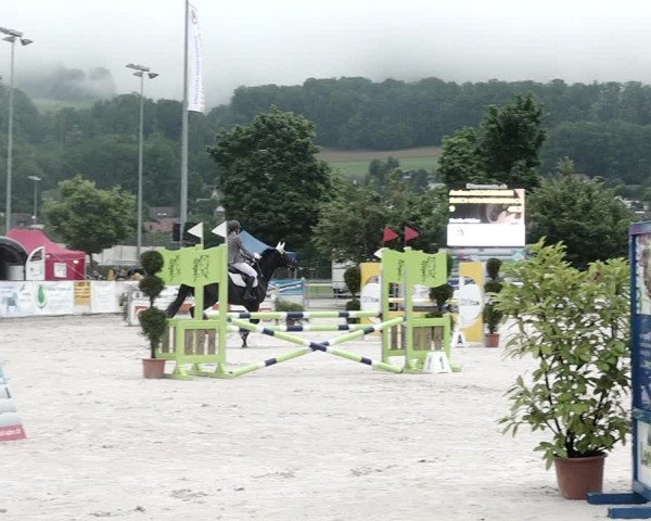 Reitturnier Balsthal 2021