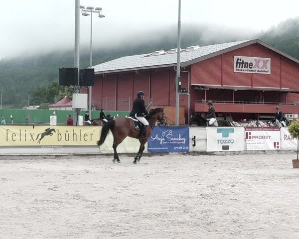 Reitturnier Balsthal 2021