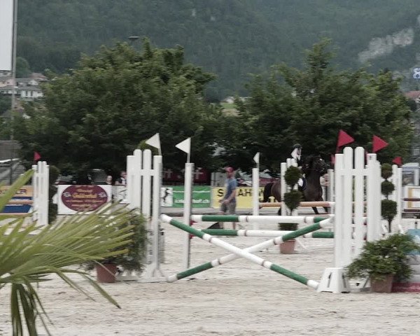 Reitturnier Balsthal 2021