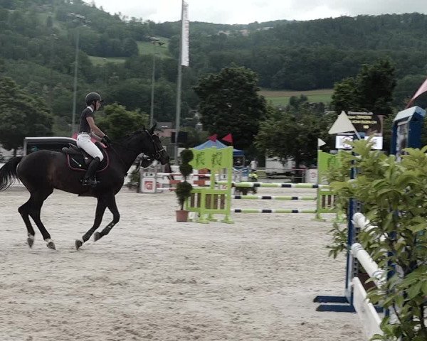 Reitturnier Balsthal 2021