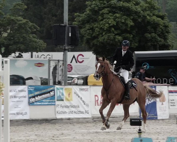 Reitturnier Balsthal 2021