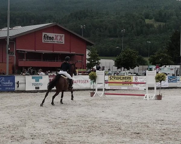 Reitturnier Balsthal 2021