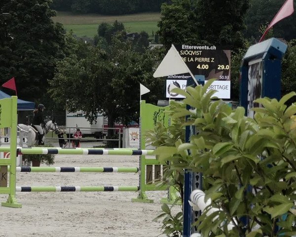 Reitturnier Balsthal 2021
