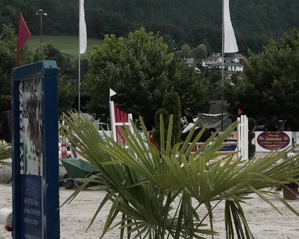 Reitturnier Balsthal 2021