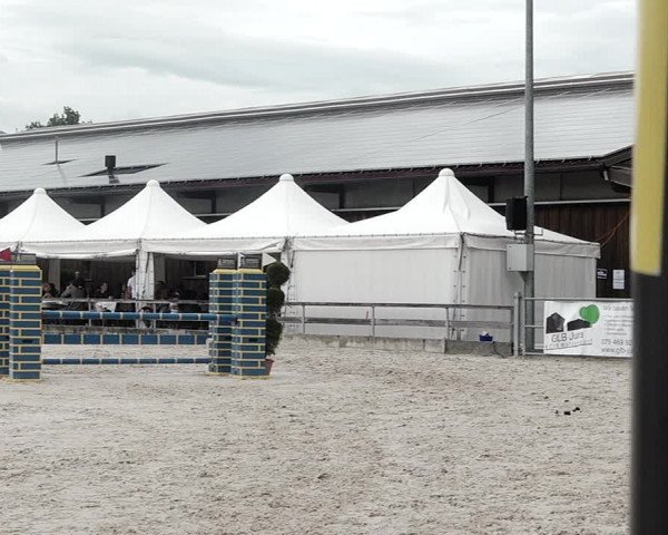 Reitturnier Balsthal 2021