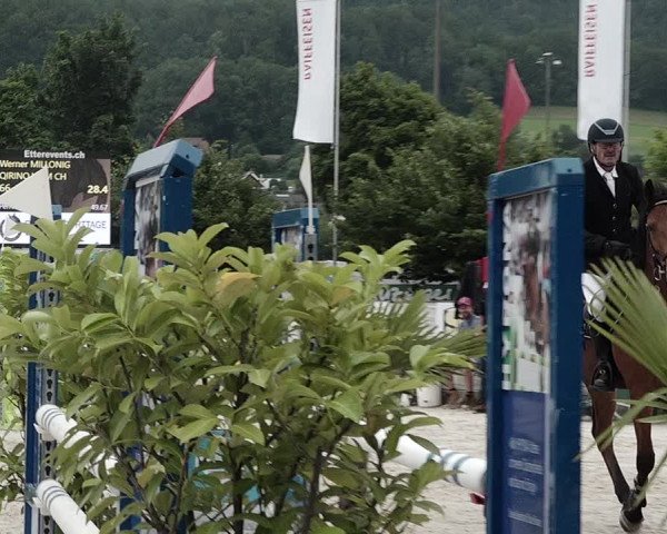 Reitturnier Balsthal 2021