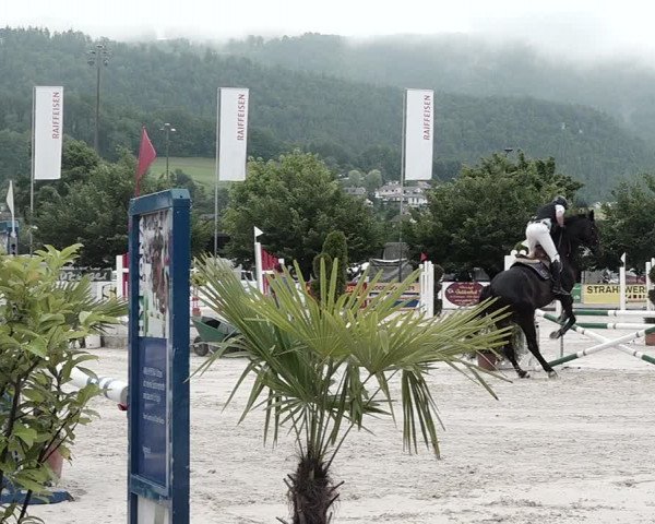 Reitturnier Balsthal 2021