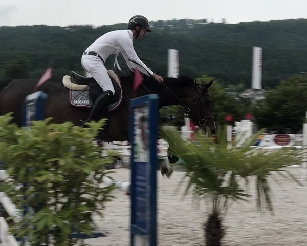 Reitturnier Balsthal 2021