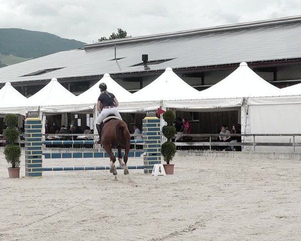 Reitturnier Balsthal 2021