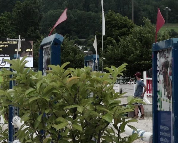 Reitturnier Balsthal 2021