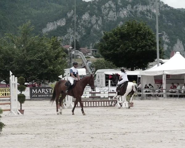 Reitturnier Balsthal 2021