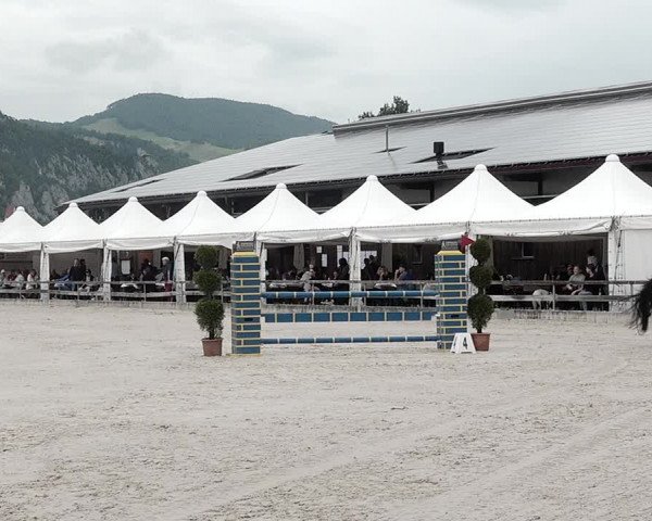 Reitturnier Balsthal 2021