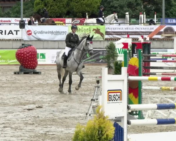Reitturnier Melle-Ostenfelde 2021