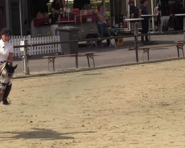 Reitturnier Hamm-Rhynern 2021