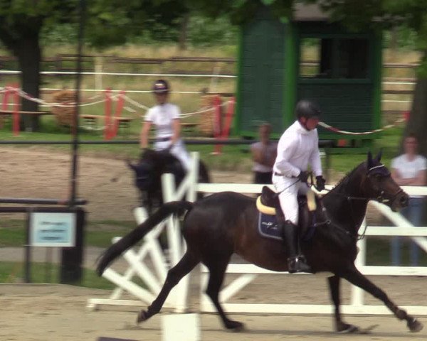 Reitturnier Hamm-Rhynern 2021