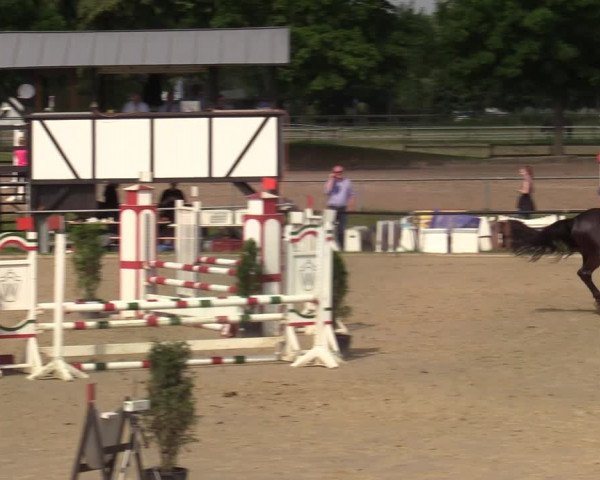 Reitturnier Hamm-Rhynern 2021