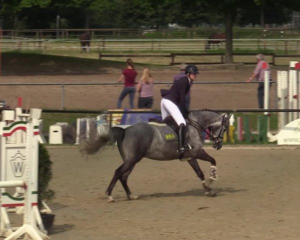 Reitturnier Hamm-Rhynern 2021