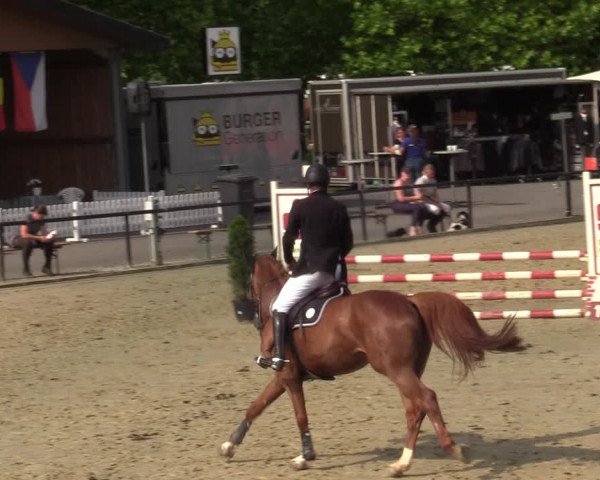 Reitturnier Hamm-Rhynern 2021