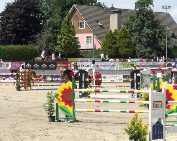 Reitturnier Melle-Ostenfelde 2021